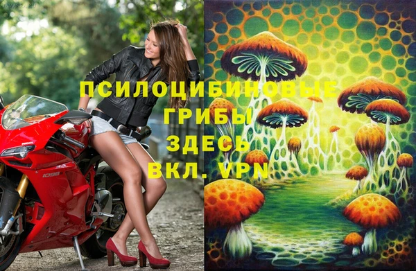 ECSTASY Вязьма