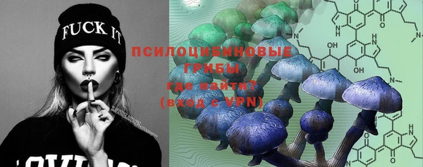 a pvp Вяземский